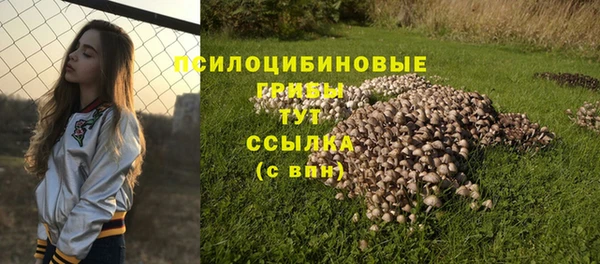гидропоника Армянск