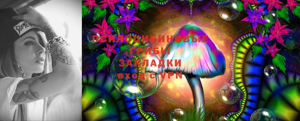 гидропоника Армянск