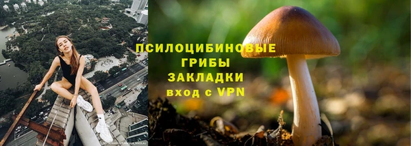 мяу мяу мука Арсеньев