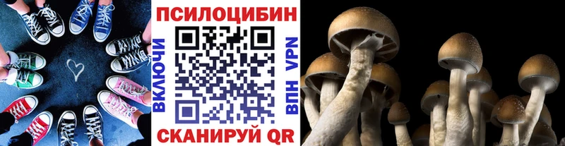 Псилоцибиновые грибы Magic Shrooms  Купить закладки  Омутнинск 
